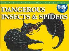 Dangerous Insects & Spiders