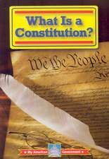 What Is a Constitution?