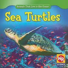 Sea Turtles