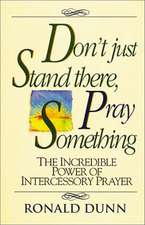 Don't Just Stand there, Pray Something: The Incredible Power of Intercessory Prayer