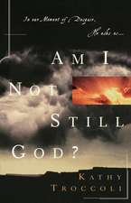 Am I Not Still God?: The American Who Stayed Behind After 9/11 and His Mission of Mercy to a War-Torn People