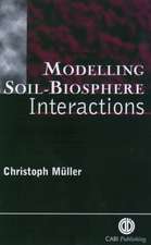 Modelling Soil–Biosphere Interactions