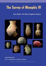 The Survey of Memphis IV: Kom Rabia: The New Kingdom Pottery