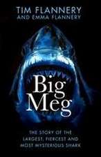 Flannery, E: Big Meg