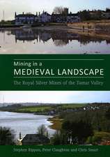 Mining in a Medieval Landscape