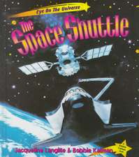 The Space Shuttle