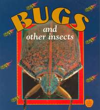 Bugs and Other Insects