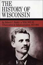 The History of Wisconsin, Volume III: Urbanization & Industrialization 1873-1893