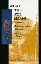 What This Awl Means: Feminist Archaeology at a Wahpeton Dakota Village