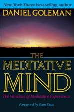 The Meditative Mind