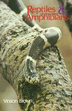 Reptiles & Amphibians of the West