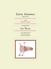 Little Theatres: Poems