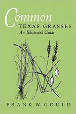 Common Texas Grasses: An Illustrated Guide