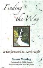 Finding the Way: A Tao for Down-To-Earth People