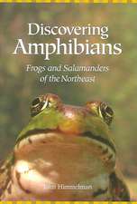 Discovering Amphibians