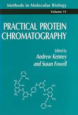 Practical Protein Chromatography