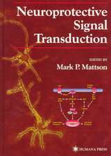 Neuroprotective Signal Transduction