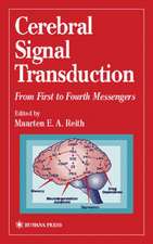 Cerebral Signal Transduction: From First to Fourth Messengers