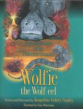 Wolfie the Wolf-eel