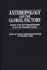 Anthropology and the Global Factory: Studies of the New Industrialization in the Late Twentieth Century