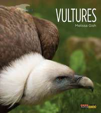 Vultures