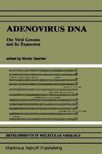 Adenovirus DNA