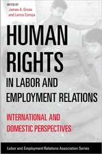 Human Rights in Labor and Employment Relations – International and Domestic Perspectives