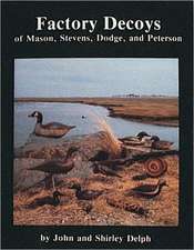 Factory Decoys of Mason, Stevens, Dodge, and Peterson