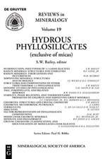 Hydrous Phyllosilicates