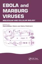 Ebola and Marburg Viruses: Molecular and Cellular Biology