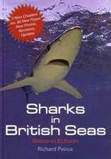 Peirce, R: Sharks in British Seas