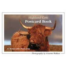 Highland Cow Postcard Book