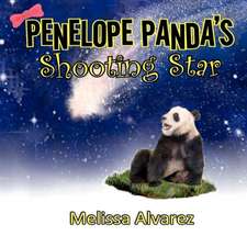 Penelope Panda's Shooting Star: Building Blocks for Success in Reading and Spelling