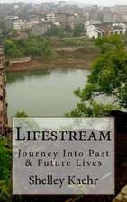 Lifestream: Journey Into Past & Future Lives