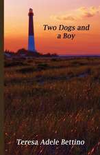 Two Dogs and a Boy: Quick, Simple, and Powerful Strategies Towards the Fulfillment of Your Dreams, Goals and Aspirations