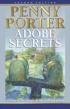 Porter, P: ADOBE SECRETS