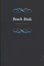 Beach Birds