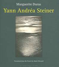 Yann Andrea Steiner