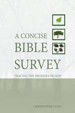 A Concise Bible Survey