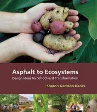 Asphalt to Ecosystems – Design Ideas for Schoolyard Transformation