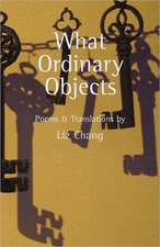 What Ordinary Objects