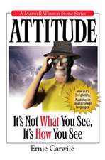 Attitude