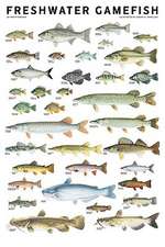 Freshwater Gamefish of North America Poster