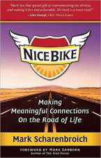 Nice Bike: Making Meaningful Connections on the Road of Life