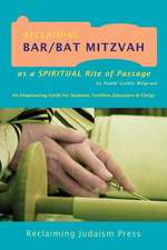 RECLAIMING BAR/BAT MITZVAH