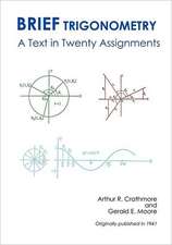 Brief Trigonometry a Text in Twenty Assignments: The Resurgence