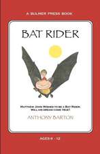 Bat Rider: The Lockean Tristram Shandy and the Modern Novel