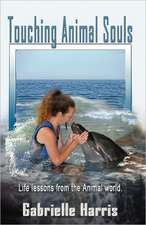 Touching Animal Souls - Developing Awareness Through the Animal World