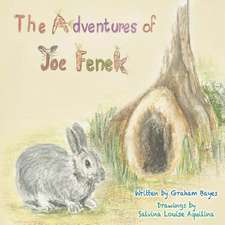 The Adventures of Joe Fenek