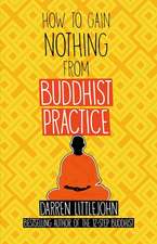 How to Gain Nothing from Buddhist Practice: A Practitioner's Guide to End Suffering.